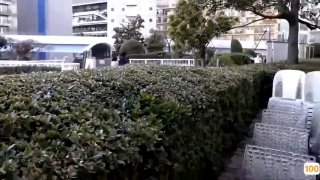 一区二区a片免费观看